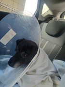 87916BD5-3520-4F90-AF00-11F4B92C4C00