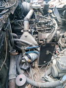 IMG_20240621_183247_554