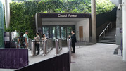 Cloud Forest 06