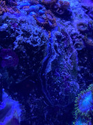 4AB1B3C2-5473-4410-AAF4-248A040BAB56