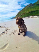 Penelope-Chetty
