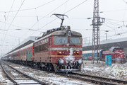IMG-4106