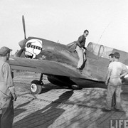 https://i.postimg.cc/q6xC0RPq/Curtiss-_P-40_N-_USAAF-42-104590-10_AF-80_FG89_FS-_White-44-_Philip-_Adai.jpg