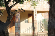 IMG-1478