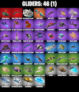 gliders-comp