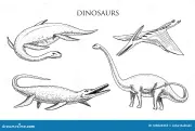 https://i.postimg.cc/q6zKJpJ3/o-elasmosaurus-dos-dinossauros-mosasaurus-barosaurus-diplodocus-apatosaurus-pterosaur-esqueletos-f-s.webp