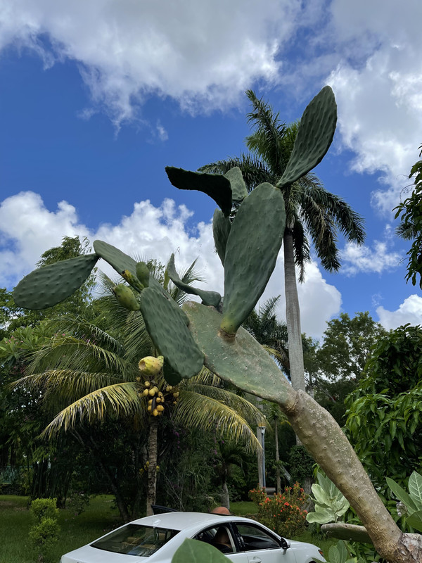 73803A9B-14EE-46A0-ABFC-9EB726AC0B2F