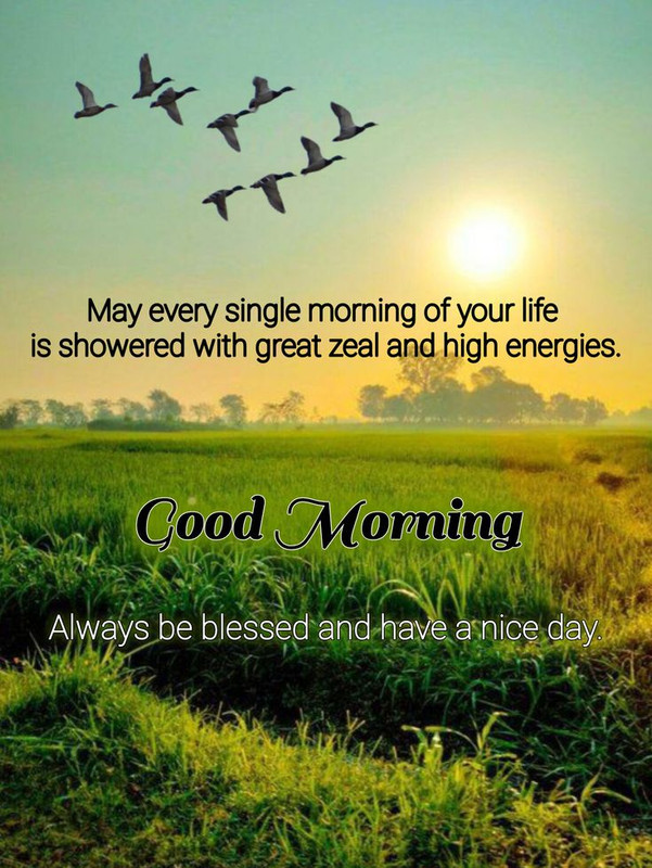 download - 2025-10-11T071526.012