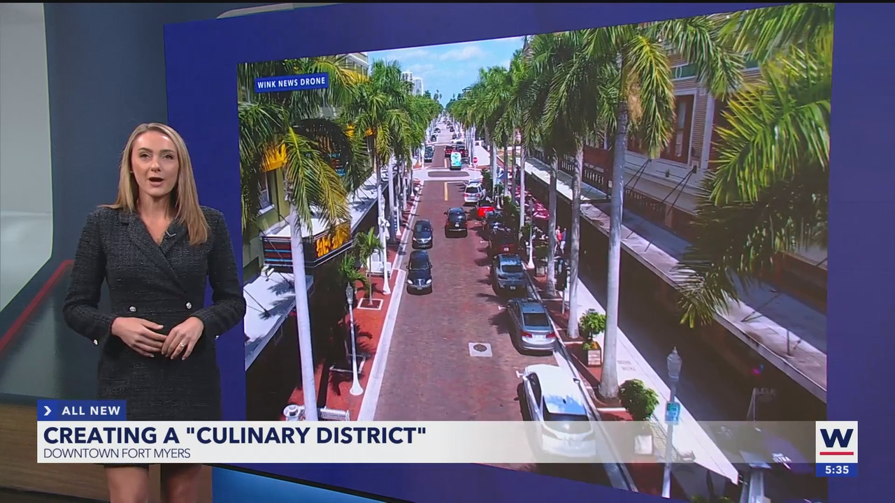 WINK News at 530pm_20250402_22302300.ts_snapshot_06.33.978