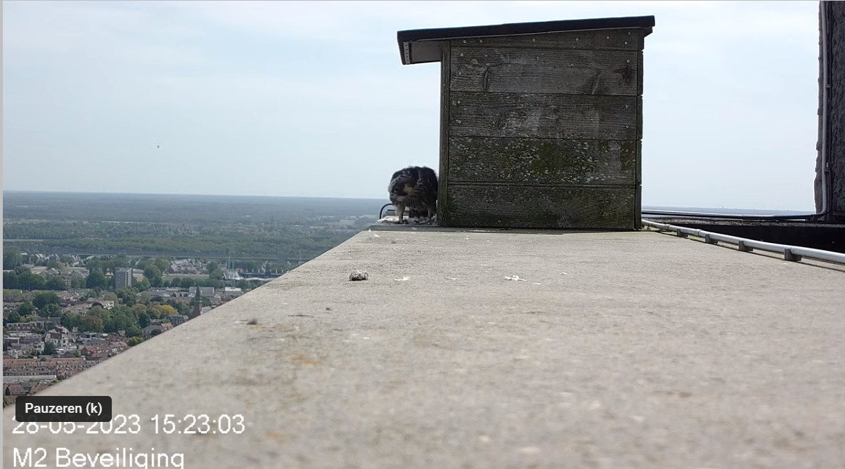 Tilburg/Westpointtoren - Pagina 9 2023-05-28-172329