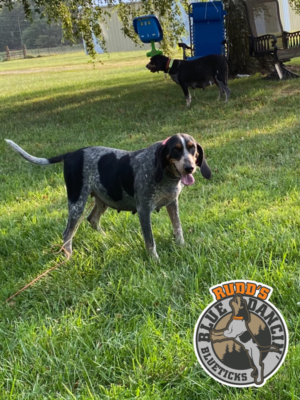 B58E416C-6F00-4348-A646-BBACEA0736F7