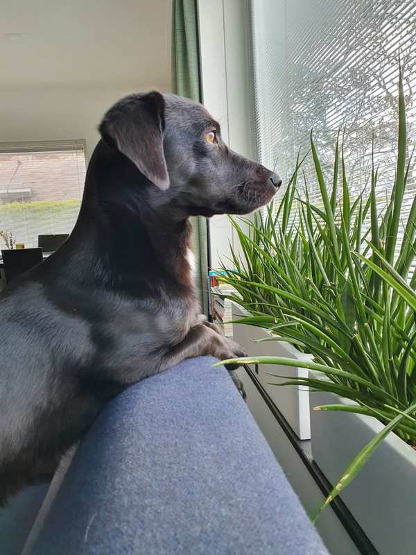 WhatsApp Image 2021-04-15 at 16.11.39