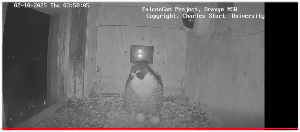 Screen Shot 10-01-25 at 07.50 PM