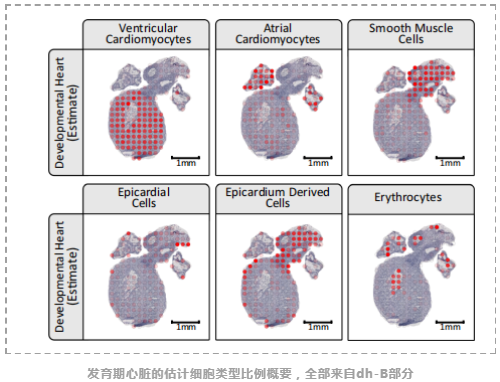 stereoscope：利用scRNA-seq和空间转录组数据对细胞类型和空间分布进行概率推断-4.png