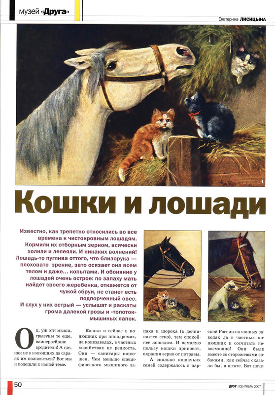 Друг кошек 2007-09-45