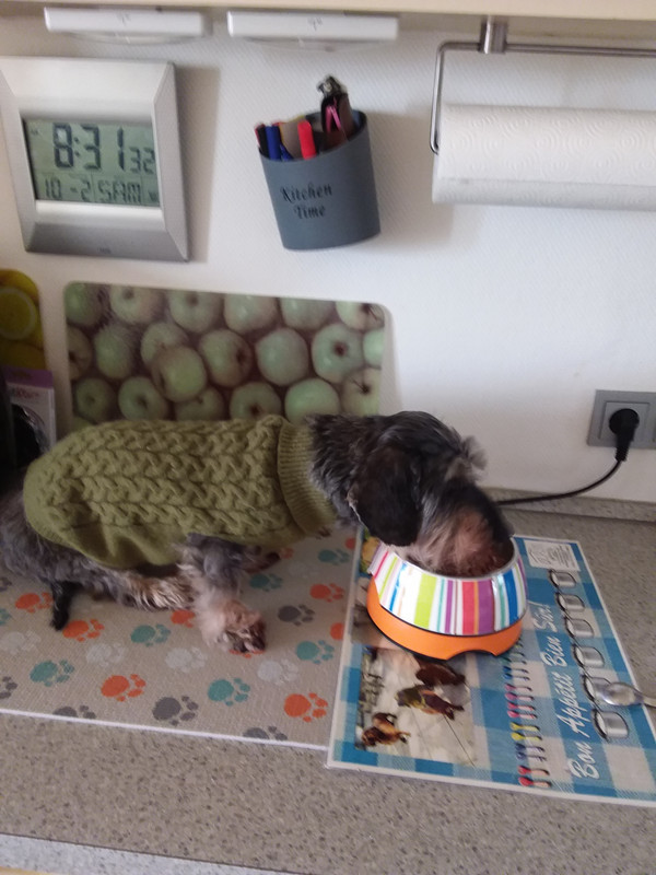 [Image: 20240210-083133.jpg]