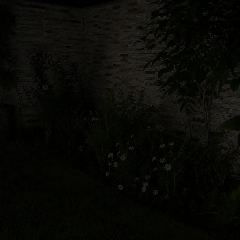 Sin luz