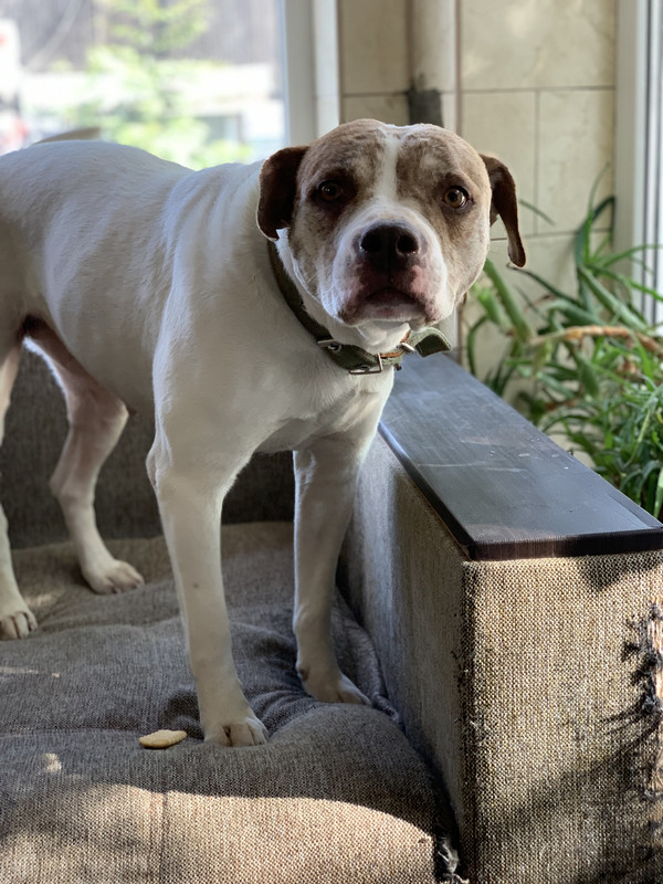 60EBAF2C-5973-45F0-A145-32EC3EA0807D