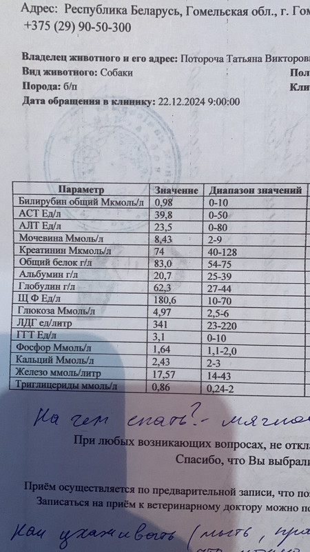 изображение_viber_2024-12-30_09-40-08-805