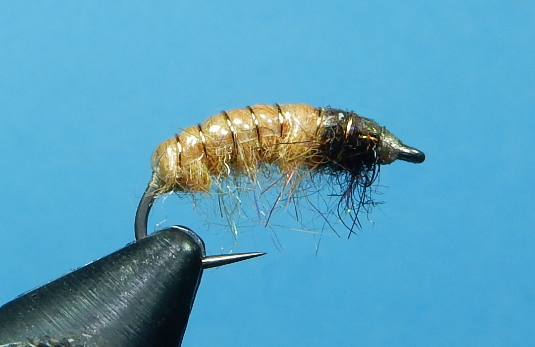 Tan-1080.jpg