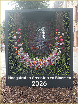 09208812-klein