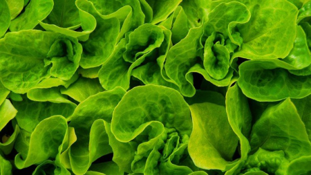 Clear Your Body, Clear Your Mind