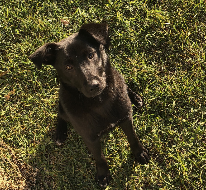 5FDAE0BB-2AA7-4CFF-AEA3-4819D6AAF023