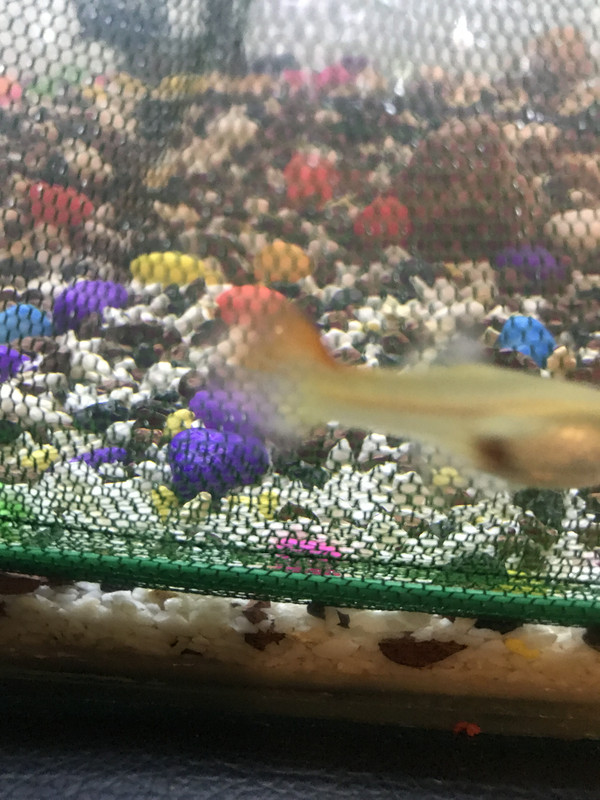 C4CA8468-9777-42D8-836A-9558F00E42C6