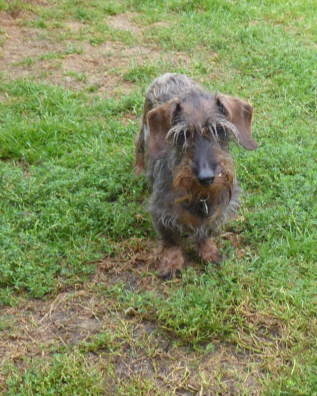 [Image: P1050390.jpg]