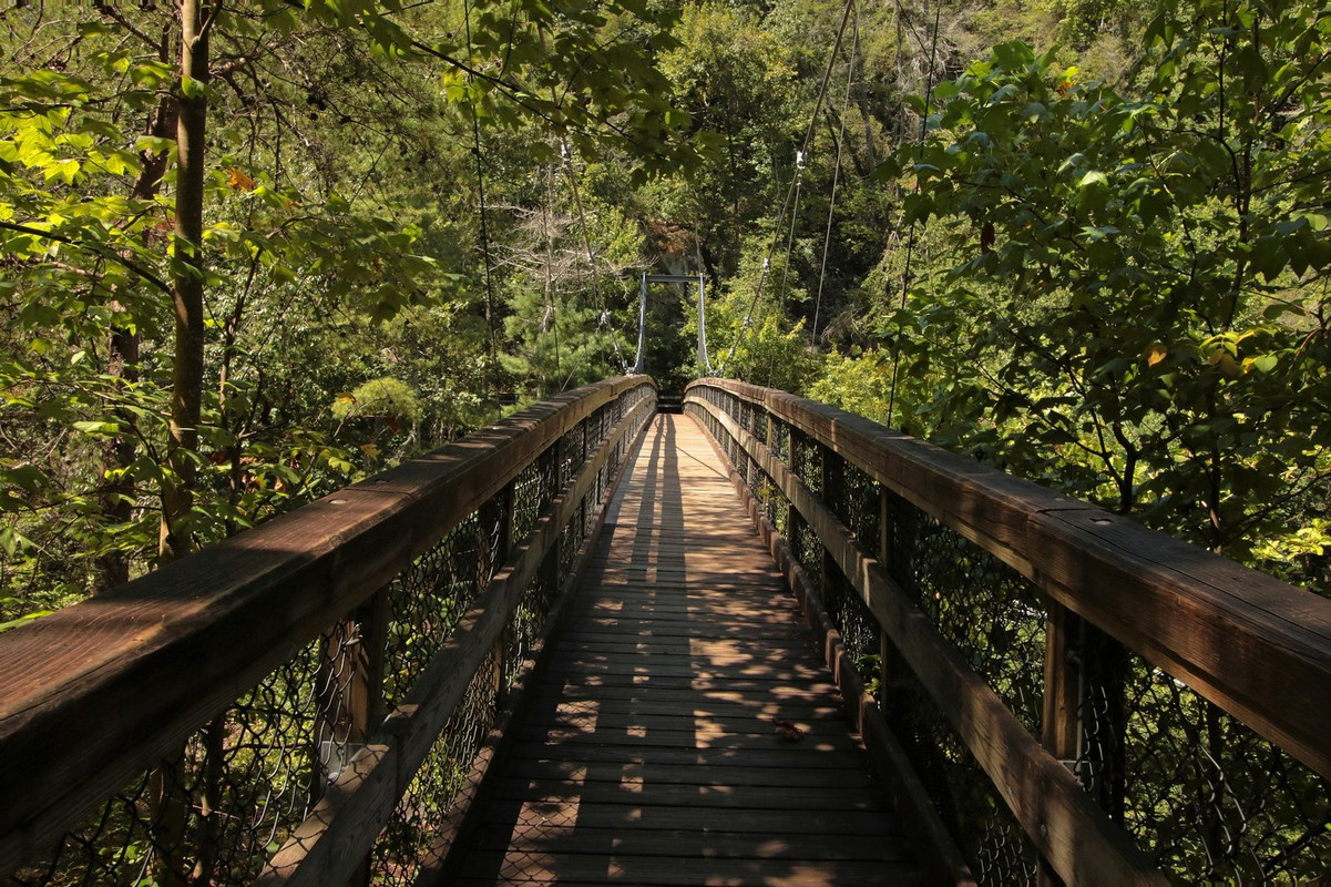 green-tallulah-suspension-bridge.jpg