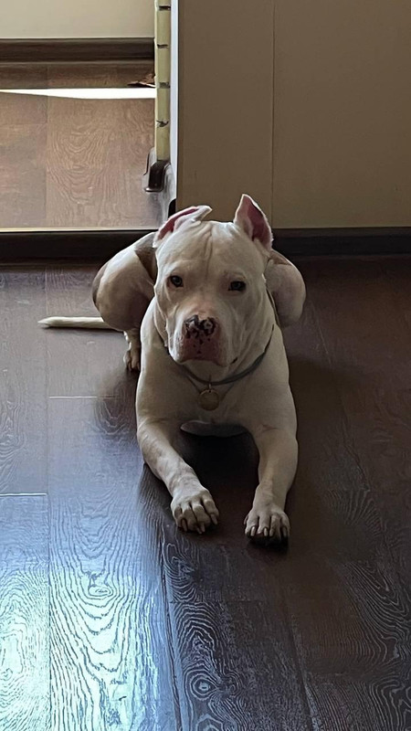 F6A34F43-9195-4CAB-8E65-764D57D31B14