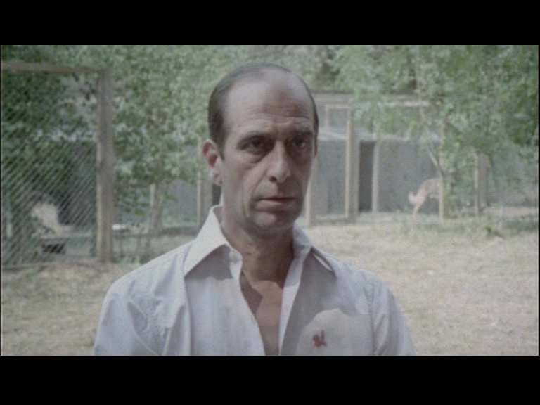 vlcsnap-2017-08-09-21h23m03s110