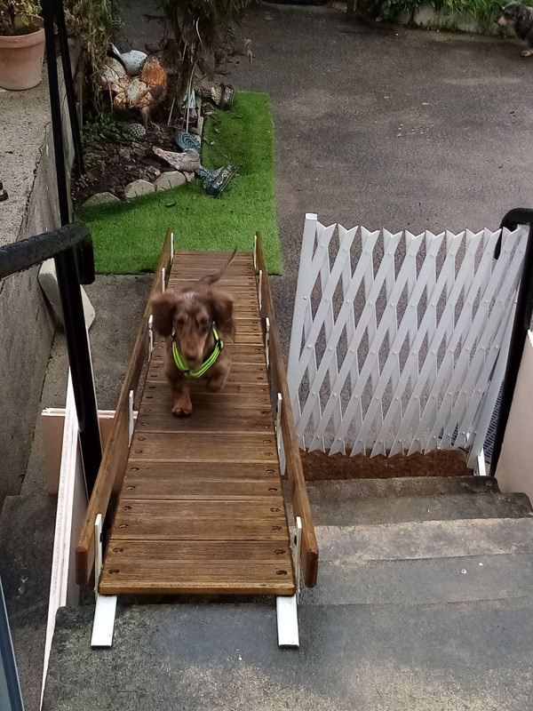 [Image: IMG-20240202-211435.jpg]