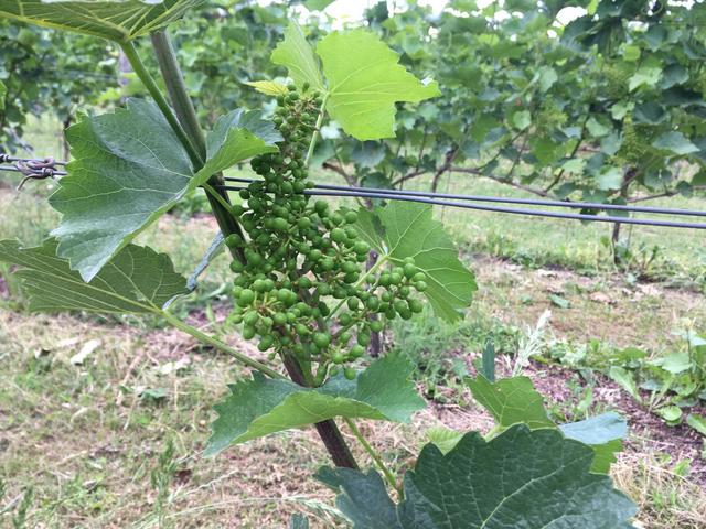 A6CB867F-0027-43FC-941C-024D1A528FE4