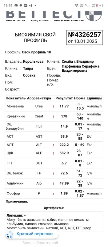 -YN3eXPU6dnmvdKs28aBK7YmpzdvJ7urhga7lwLCGvjl0TwWdkjP2gSL-WuUuxagk9gKV944knmoSsD6zri-jSg9