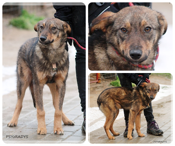 BeFunky-collage (16)