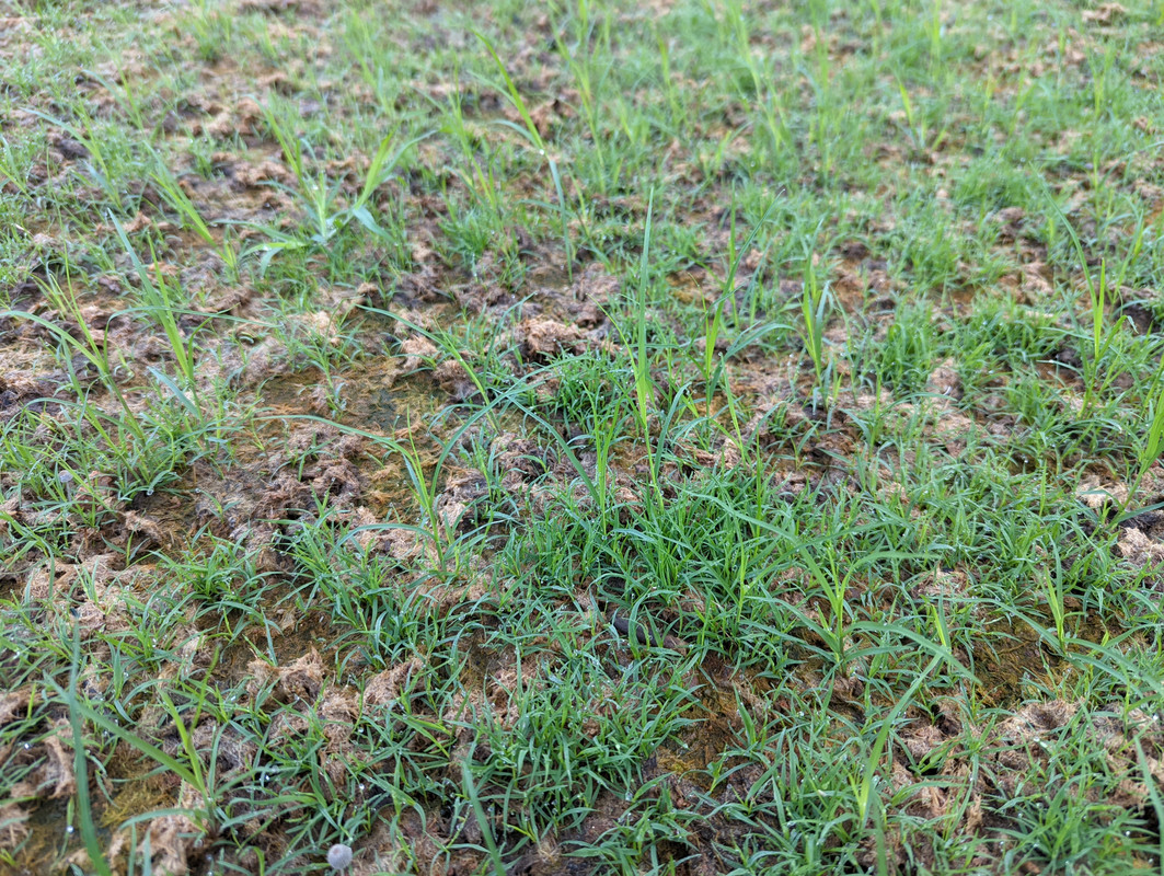 PXL_20220729_124228081.MP