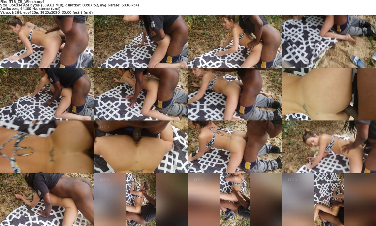 20042024123106screenshot