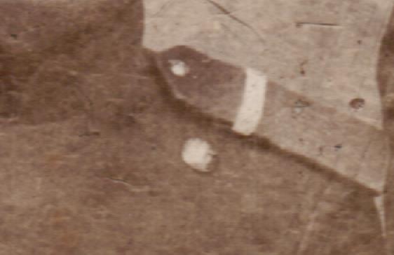 006