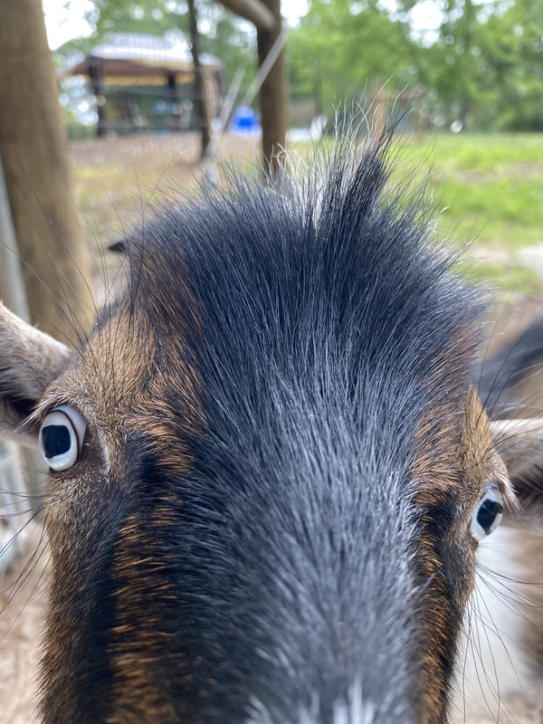 7001131D-846A-4E12-B780-6B55B32CD669