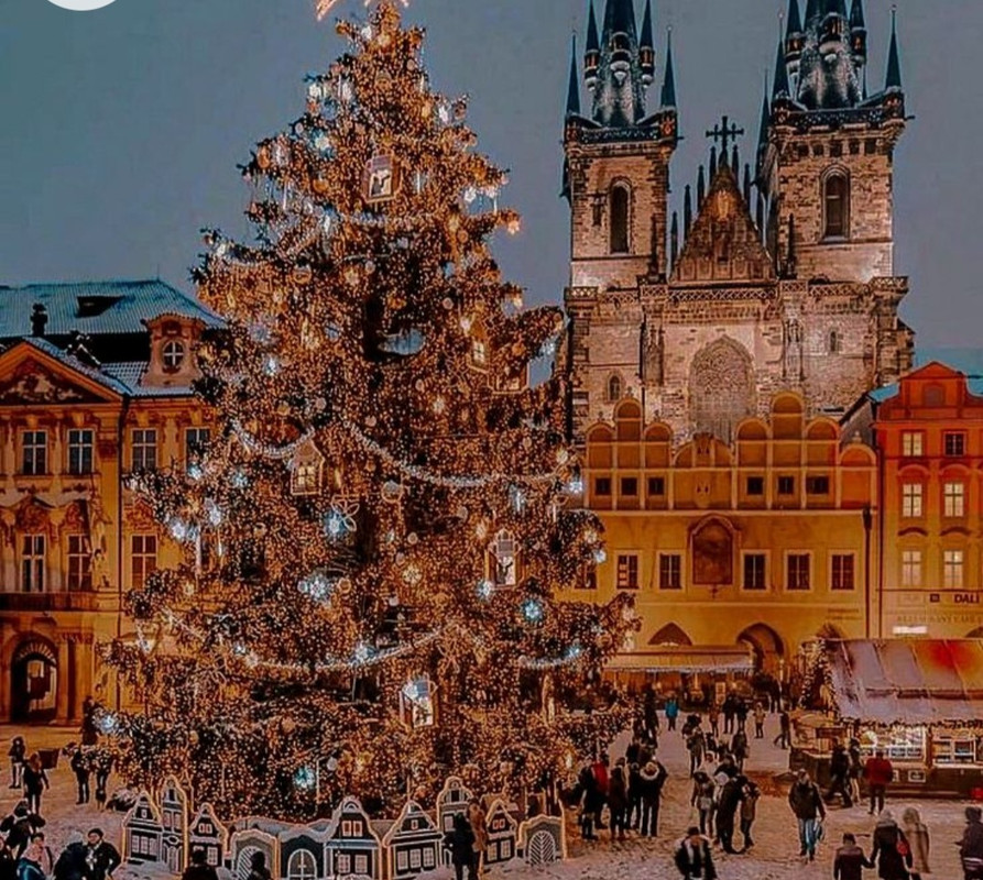 Screenshot_20221204-000219_Chrome