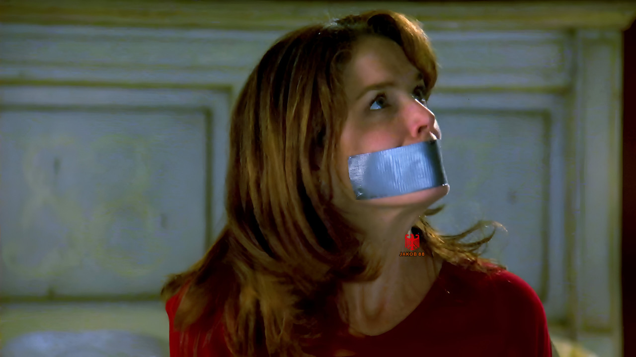 Megan Gallagher 6 - Blind Obsession 2001