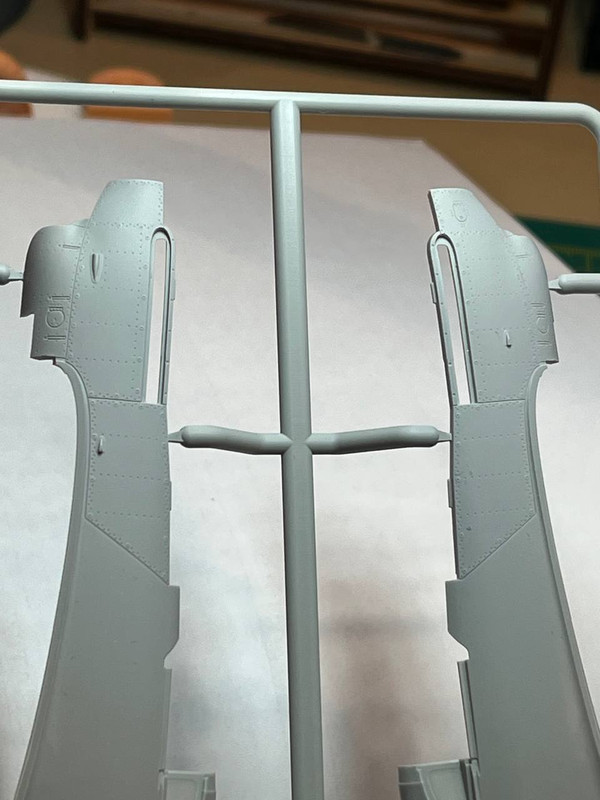 photo_2025-01-29_00-02-52