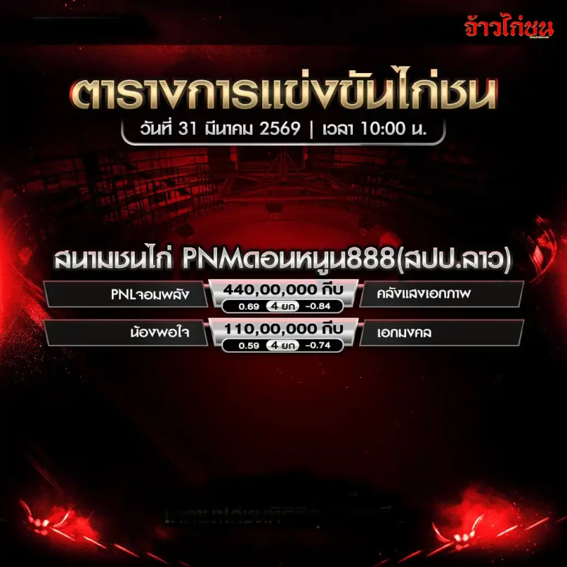 โปรแกรมไก่ชน สนามชนไก่ PNM ดอนหนูน888 วันที่ 31 มีนาคม 2569