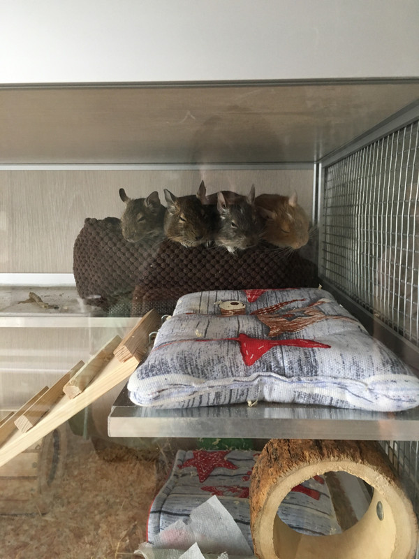 B0933EB6-9ACB-4B8A-ACF8-7089D16D9477