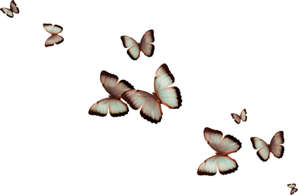 TADD_elements_ShimmerFall (32)