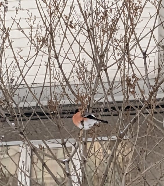 b13f7e81-87fa-477d-9808-fbf35a0e95a9