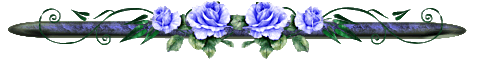 17177816-9df89d7ae838