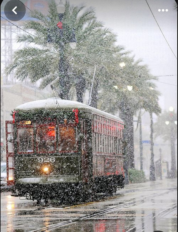 Screenshot_20231124_213621_Pinterest