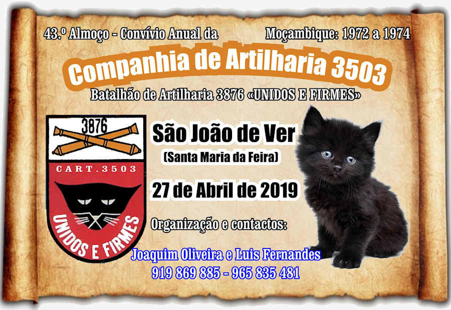 CArt3503-27-Abr2019-900